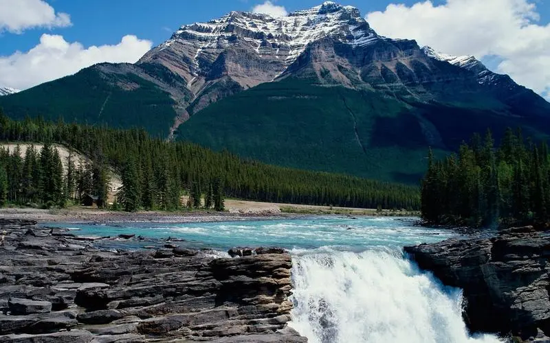 可靠性网络化